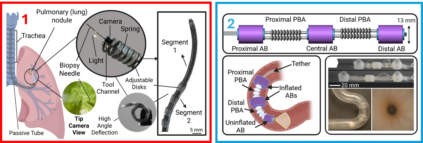 STORM Lab Researchers Publish Two New Papers on Robotic Bronchoscopy and Small-Bowel Navigation
