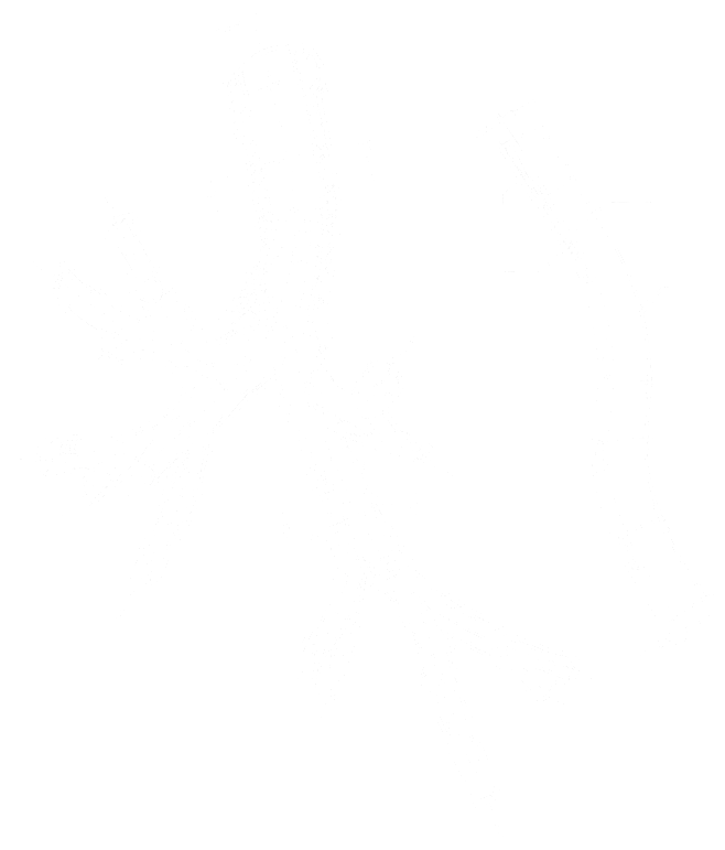 Magnetic Tentacles