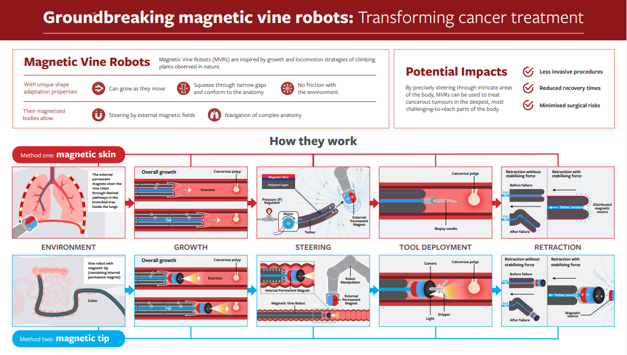 Magnetic vine robots — principle of operation